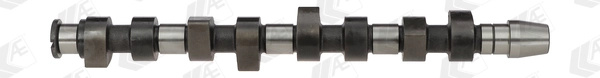 Ax cu came AE VW POLO IV (9N_, 9A_) 2001-2009 - CAM670