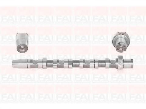 Ax cu came AUDI A6 (4B2, C5) (1997 - 2005) FAI AutoParts C244