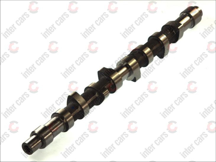 Ax cu came CITROËN XSARA coupe N0 Producator AE C