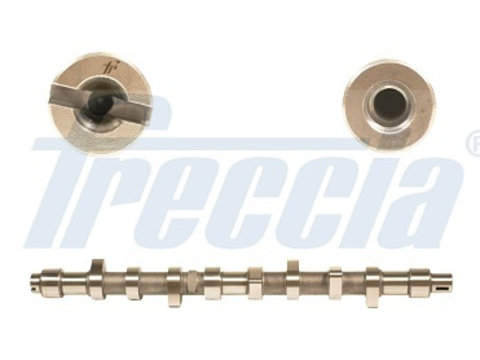 Ax cu came CM05-2141 FRECCIA pentru CitroEn Bx CitroEn C25 Peugeot 405 Peugeot J5 Peugeot 306 CitroEn Jumper CitroEn Relay CitroEn Xantia CitroEn Zx CitroEn Evasion CitroEn Synergie CitroEn Dispatch CitroEn Jumpy Peugeot Expert CitroEn Berlingo Peugeot