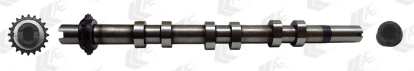 Ax cu came # dreapta Partea de evacuare CitroEn C5