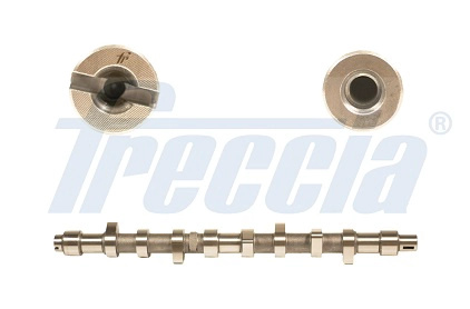 Ax cu came FRECCIA CM05-2141 la masina PEUGEOT 306 Break (7E, N3, N5) DJY (XUD9A) 1905cc 71cp 52kW 1995 1996 1997 1998 1999 2000 2001 2002