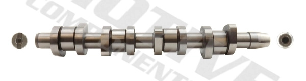 Ax cu came MOTIVE VW POLO IV (9N_, 9A_) 2001-2009 - T2616