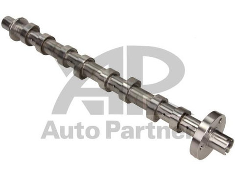 Ax cu came NISSAN PRIMASTAR caroserie (X83) - Cod intern: W20236497 - LIVRARE DIN STOC in 24 ore!!!