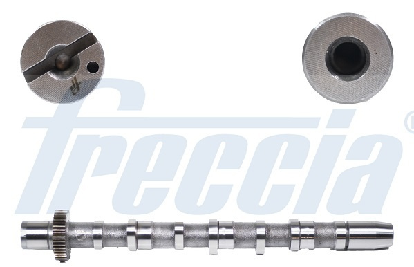Ax cu came # partea de admisie Audi A4 2.5 cabriolet [8h7; b6; 8he; b7] tdi motorina 163cp/120kw BCZ; BDG; BFC 2002 2003 2004 2005 # CM05 2189 # FRECCIA
