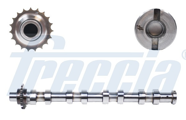 Ax cu came # partea de admisie Peugeot Partner 1.6 grand raid caroserie hdi 4x4 motorina 90cp/66kw 9HS (DV6TED4BU); 9HX (DV6ATED4); 9HX (DV6AUTED4) 2012 2013 2014 2015 2016 2017 2018 2019 2020 2021 2022 2023 2024 2025 # CM05 2145 # FRECCIA