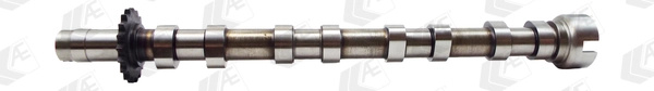 Ax cu came Partea de evacuare AE CITROËN C5 II (RC_) 2006-2008 - CAM975