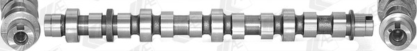 Ax cu came Partea de evacuare AE FIAT LINEA (323_, 110_) 2009-2014 - CAM949