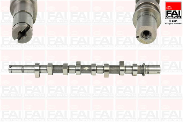 Ax cu came # Renault ScEnic 1.5 ii [jm0/1] dci [jm0f] motorina 82cp/60kw K9K 722 2003 2004 2005 2006 2007 2008 2009 2010 2011 2012 2013 2014 2015 2016 2017 2018 2019 2020 2021 2022 2023 2024 2025 # C253 # FAI AUTOPARTS