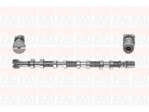 Ax cu came RENAULT VEL SATIS (BJ0_) (2002 - 2016) FAI AutoParts C257