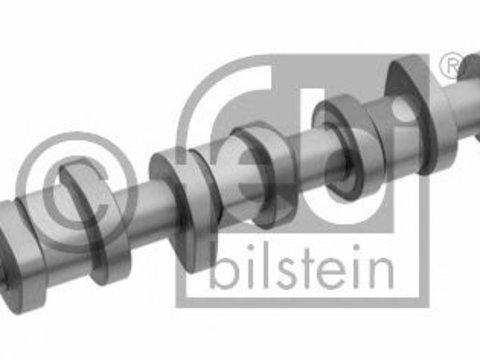 Ax cu came SEAT IBIZA Mk IV (6L1) (2002 - 2009) Febi Bilstein 29852