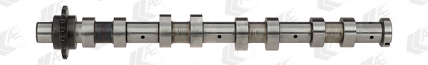 Ax cu came # spre evacuare CitroEn C5 1.6 citroen ii break [re] hdi [re8hzb] motorina 109cp/80kw 9HY (DV6TED4); 9HZ (DV6TED4) 2004 2005 2006 2007 2008 2009 2010 2011 2012 2013 2014 2015 2016 2017 2018 2019 2020 2021 2022 2023 2024 20 # CAM747 # AE