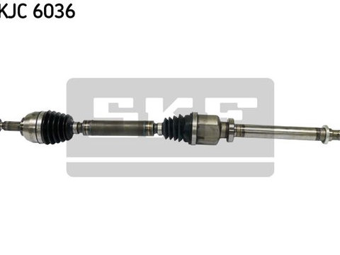 Ax cu came VKJC 6036 SKF pentru Renault Megane