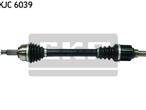 Ax cu came VKJC 6039 SKF pentru Renault ScEnic Renault Megane Renault Grand