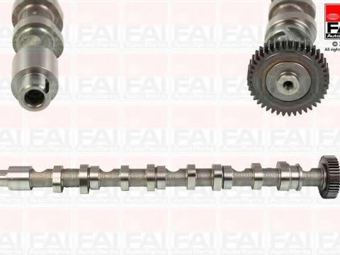 Ax cu came VW SHARAN (7N1, 7N2) (2010 - 2016) FAI AutoParts C348