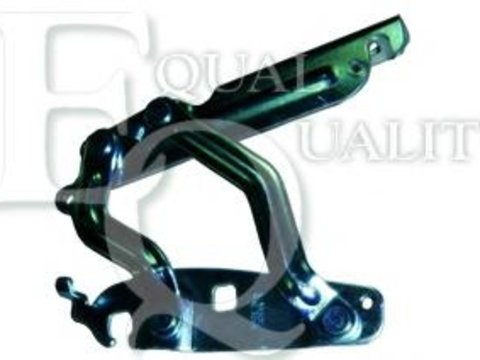 Balama, capota motor FORD FIESTA VI - EQUAL QUALITY C00224