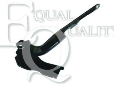 Balama, capota motor TOYOTA RAV 4 Mk II (CLA2_, XA2_, ZCA2_, ACA2_) - EQUAL QUALITY C00238