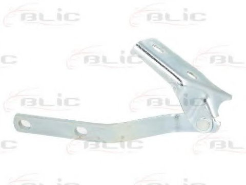 Balama, capota motor VW POLO (6N1) (1994 - 1999) BLIC 6802-00-9504451P