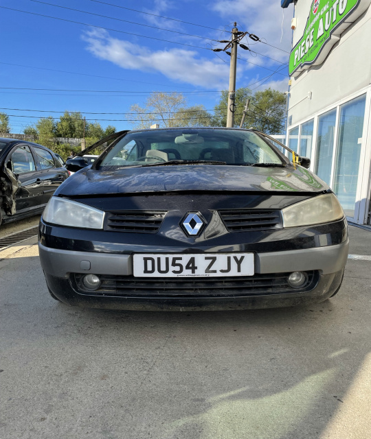 Balama inferioara usa dreapta Renault Megane 2 [2002 - 2006] Cabriolet 1.9 dCi MT (120 hp)