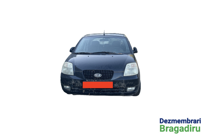 Balama inferioara usa spate dreapta Kia Picanto [2004 - 2007] Hatchback 1.1 AT (65 hp) Cod motor: G4HG