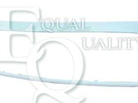 Banda de protectie, grila radiator FIAT SCUDO (270_) - EQUAL QUALITY G0037