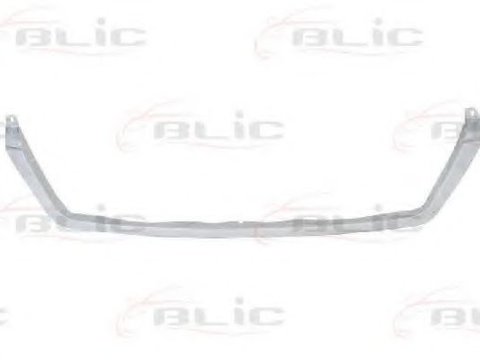 Banda de protectie, grila radiator MERCEDES SPRINTER 5-t platou / sasiu (905) (2001 - 2006) BLIC 6502-07-3546991P