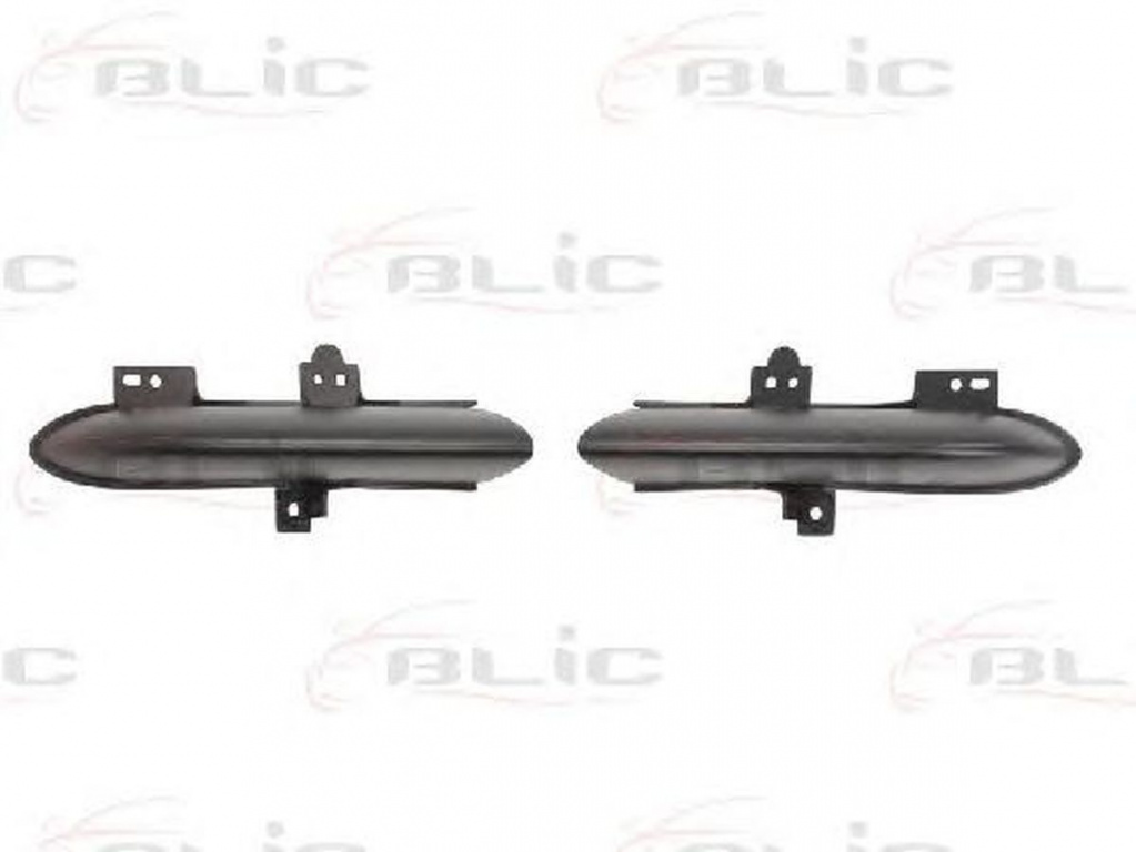 Bandou bara RENAULT GRAND SCÉNIC III JZ0 1 BLIC 5510006046996P