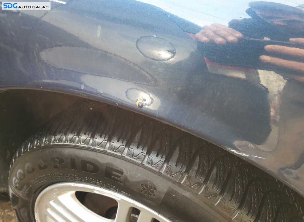 Bandou Ornament cu Semnalizare de pe Ari