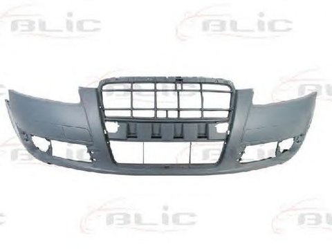 Bara AUDI A6 Avant 4F5 C6 BLIC 5510000031901P