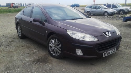 Bara fata cu proiectoare Peugeot 407 - 2