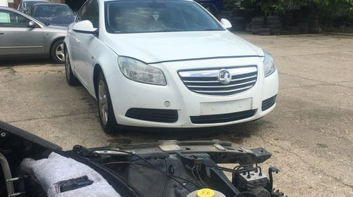 Bara fata Opel insignia