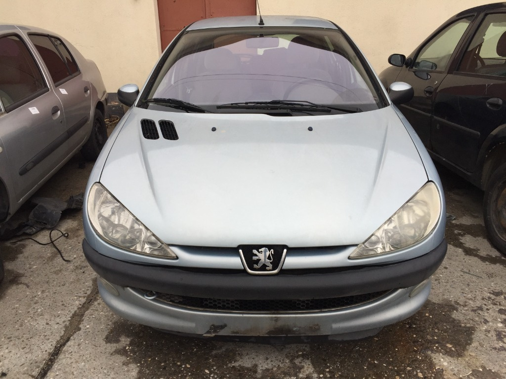 Bara fata Peugeot 206