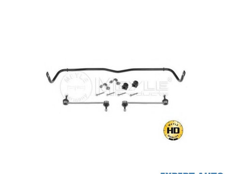 Bara stabilizatoare,suspensie Seat SEAT IBIZA V ST (6J8, 6P8) 2010-2016 #2 1006530002HD