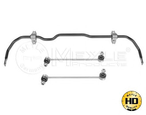 Bara stabilizatoare (suspensie) VOLKSWAGEN EOS (1F