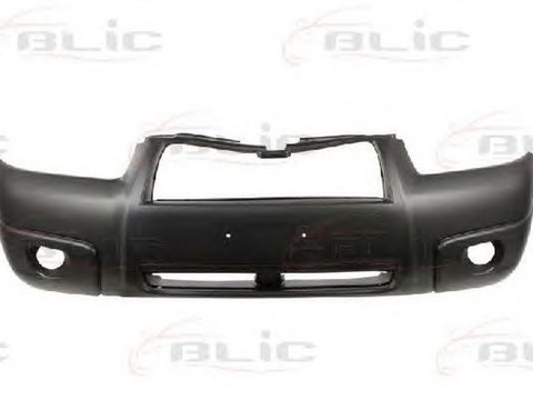 Bara SUBARU FORESTER SG BLIC 5510006736901P