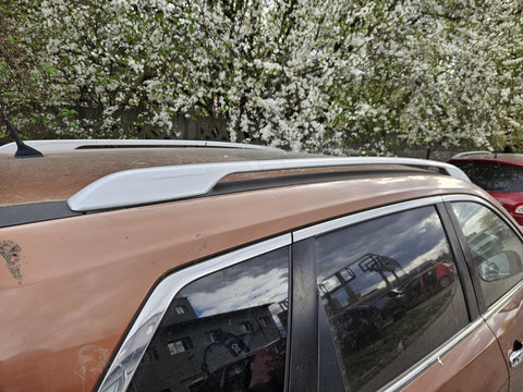 Bare cupola Nissan X-Trail 2015