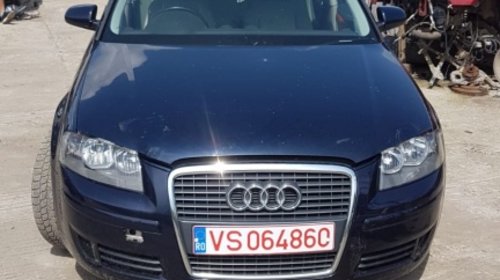 Bare portbagaj longitudinale Audi A3 8P 