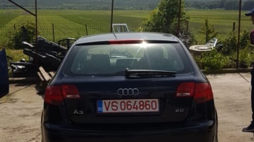 Bare portbagaj longitudinale Audi A3 8P 