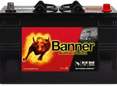 Baterie Banner Buffalo Bull 110AH 800A 12V 010610470101