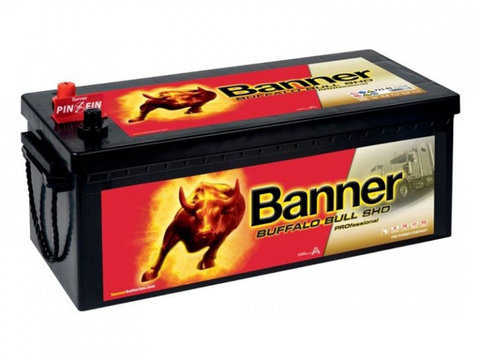 Baterie Banner Buffalo Bull Shd Professional 225Ah 1150A 12V 018725030101