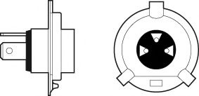 Bec, far faza lunga FIAT SCUDO Combinato (220P) (1