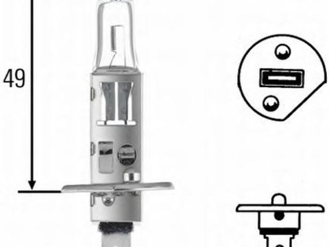 Bec incandescent - HELLA 8GH 002 089-501