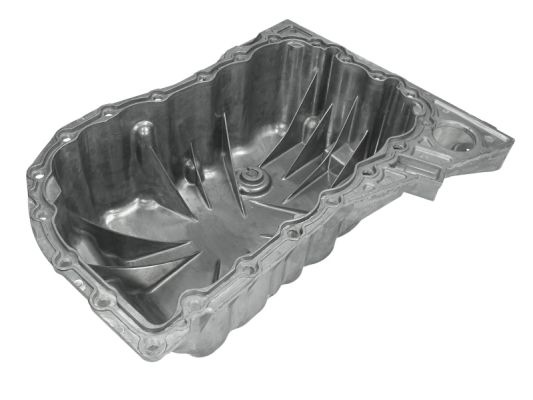 BLIC Baie ulei 0216-00-6038471P pentru masina RENAULT ESPACE IV (JK0/1_) F4R 794; F4R 795; F4R 797; F4R 796 1998cc 163cp 120kW 2002 2003 2004 2005 2006 2007