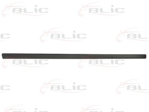 Blic bandou usa fata dreapta pt audi a4 2001-2008