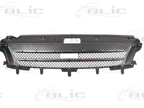 Blic grila radiator partez interior pt iveco daily 4 2006-2009