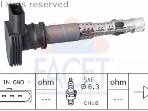 Bobina de inductie 9 6326 FACET pentru Vw Passat Vw Sharan Seat Alhambra Skoda Superb Audi Tt Skoda Octavia Vw Golf Audi A5 Audi A6 Skoda Yeti Vw Jetta Vw Vento Vw Tiguan Audi A3 Audi Q5 Audi R8 Vw Cc Vw Beetle Vw Novo Audi Q3 Vw Amarok Audi A8 Vw Ra