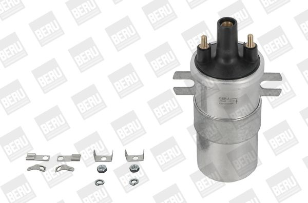 Bobina de inductie BorgWarner (BERU) ZS568