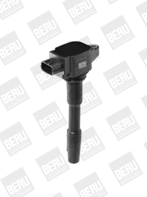 bobina de inductie BorgWarner (BERU) ZSE