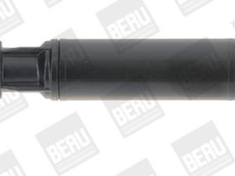 Bobina de inductie BorgWarner (BERU) ZSE192