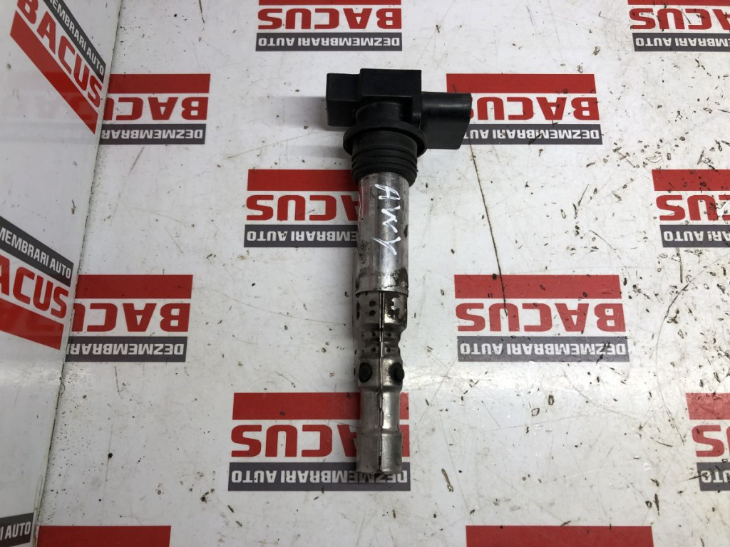Bobina Inductie Volkswagen Polo 9N / Skoda Fabia 1.2 Benzina Cod R1304C00100